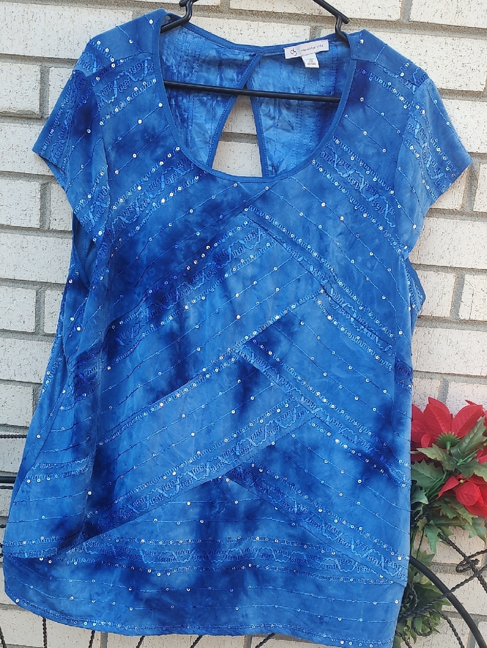 Blue Top* - Picture 3 of 10